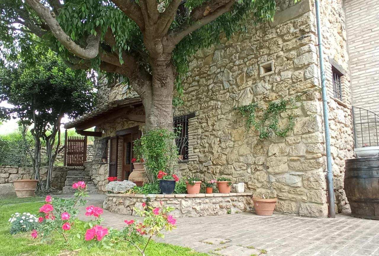 All'Ombra Di San Damiano Assisi Exteriör bild