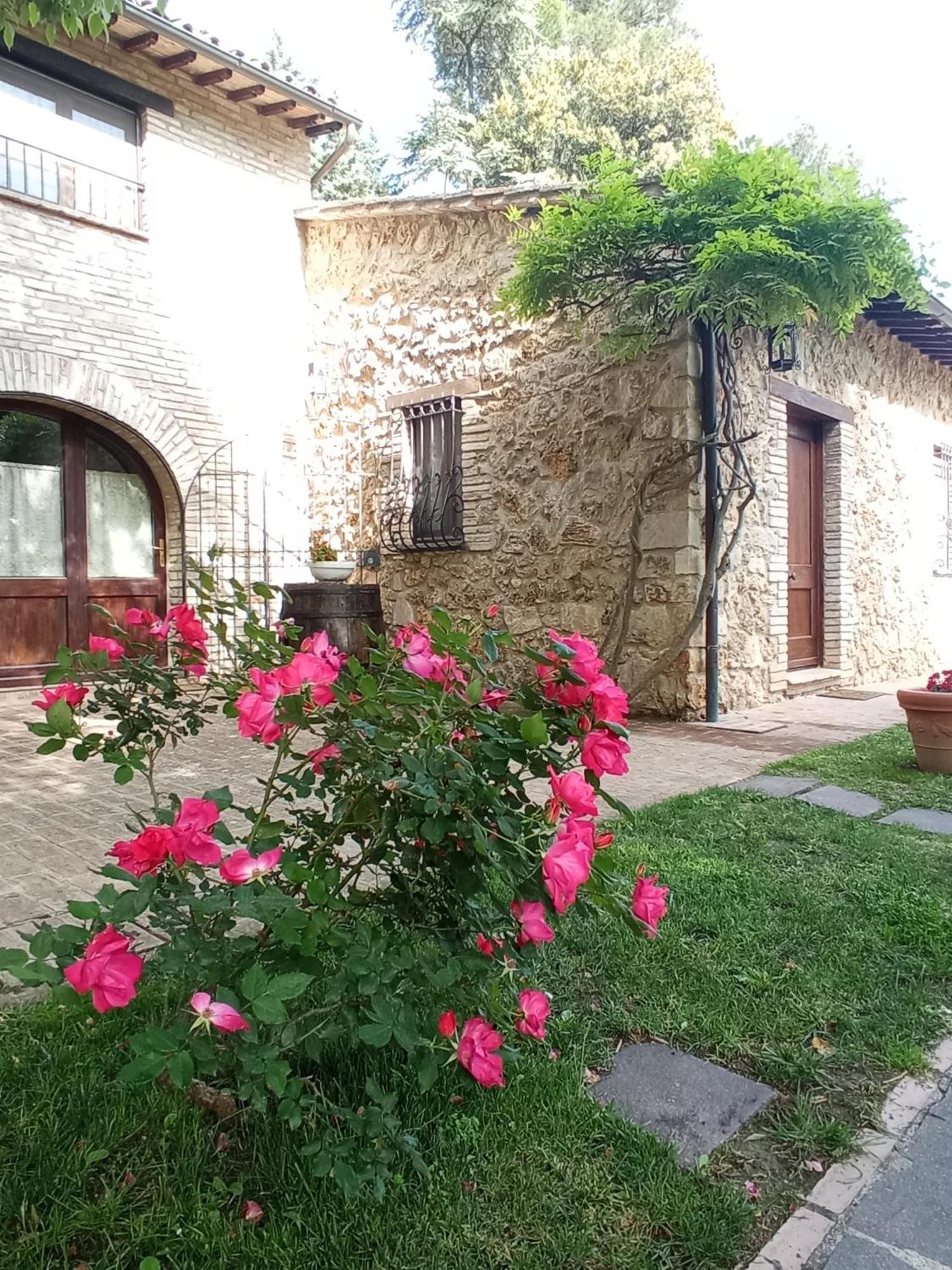 All'Ombra Di San Damiano Assisi Exteriör bild