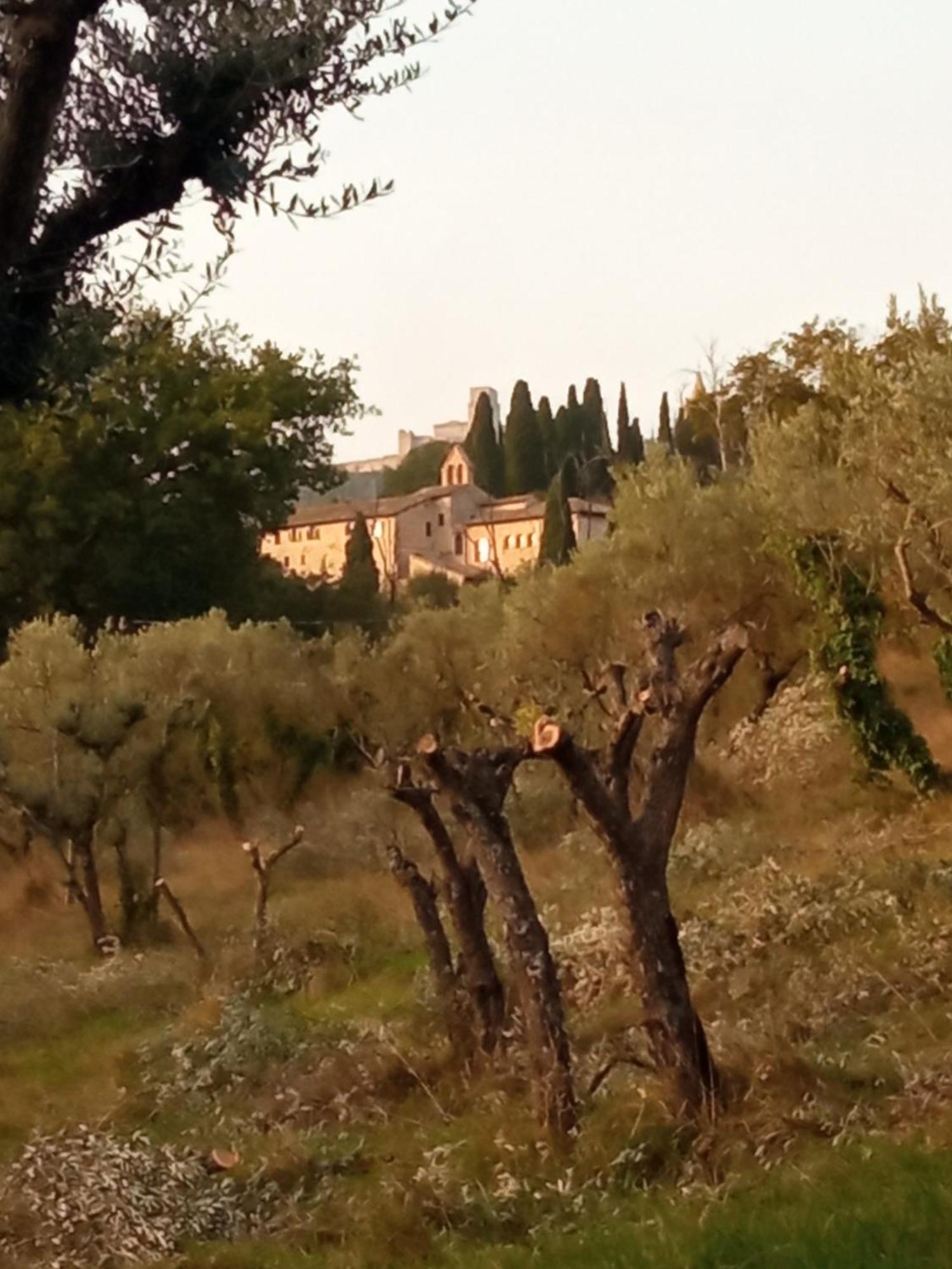 All'Ombra Di San Damiano Assisi Exteriör bild
