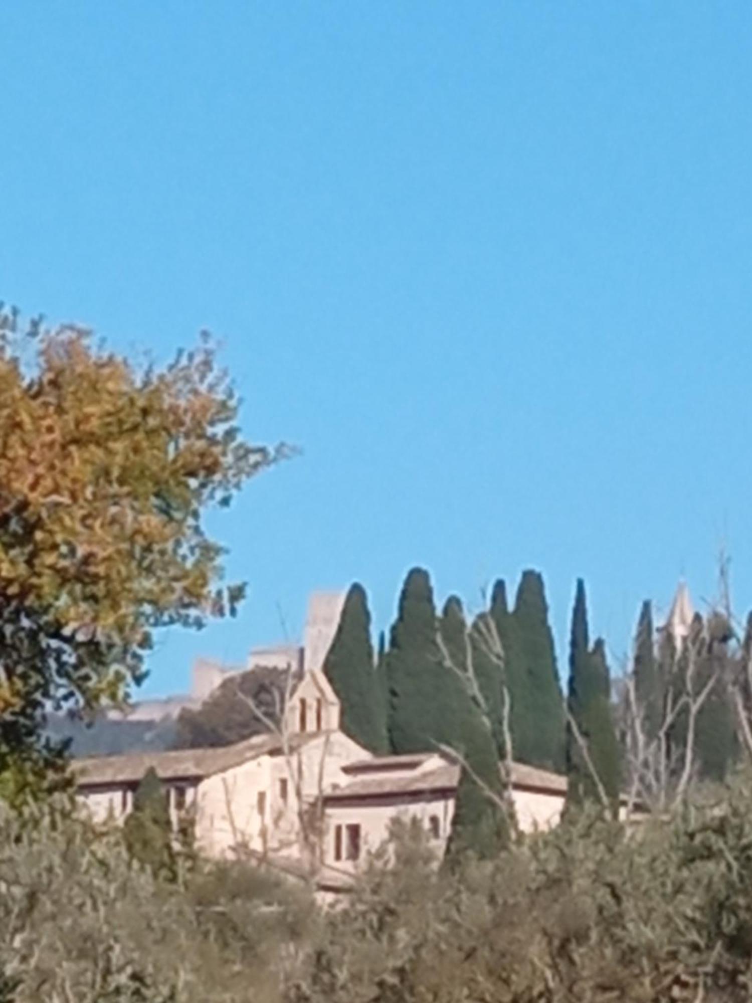 All'Ombra Di San Damiano Assisi Exteriör bild