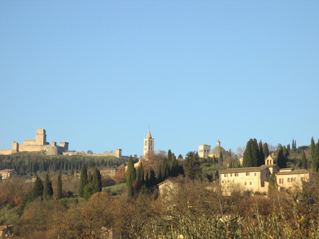 All'Ombra Di San Damiano Assisi Exteriör bild